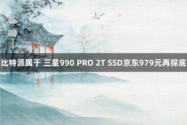 比特派属于 三星990 PRO 2T SSD京东979元再探底