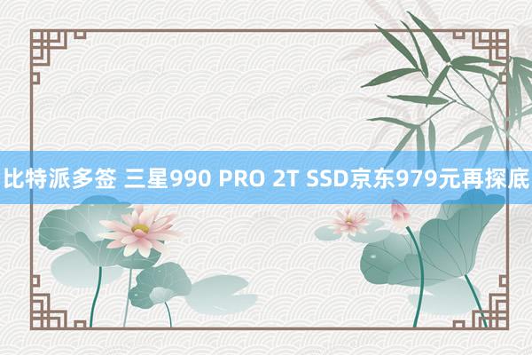 比特派多签 三星990 PRO 2T SSD京东979元再探底