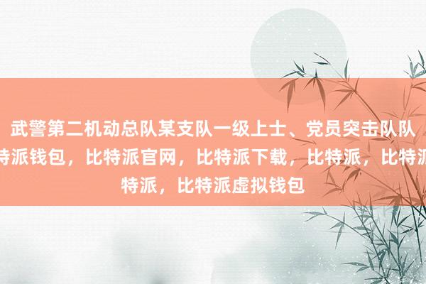 武警第二机动总队某支队一级上士、党员突击队队员徐洋比特派钱包，比特派官网，比特派下载，比特派，比特派虚拟钱包